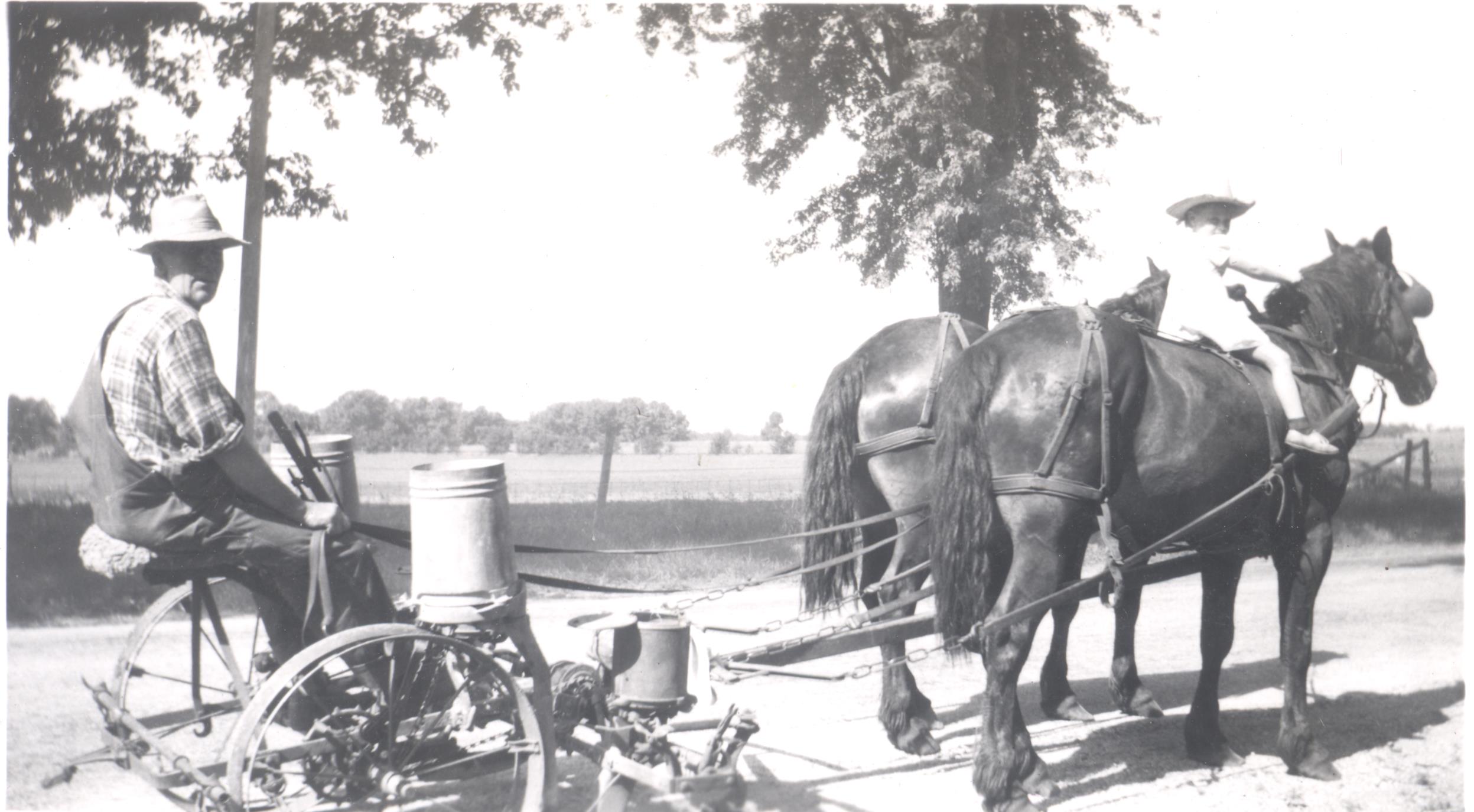 History of Lewiston Farmstead Lewiston Farmstead